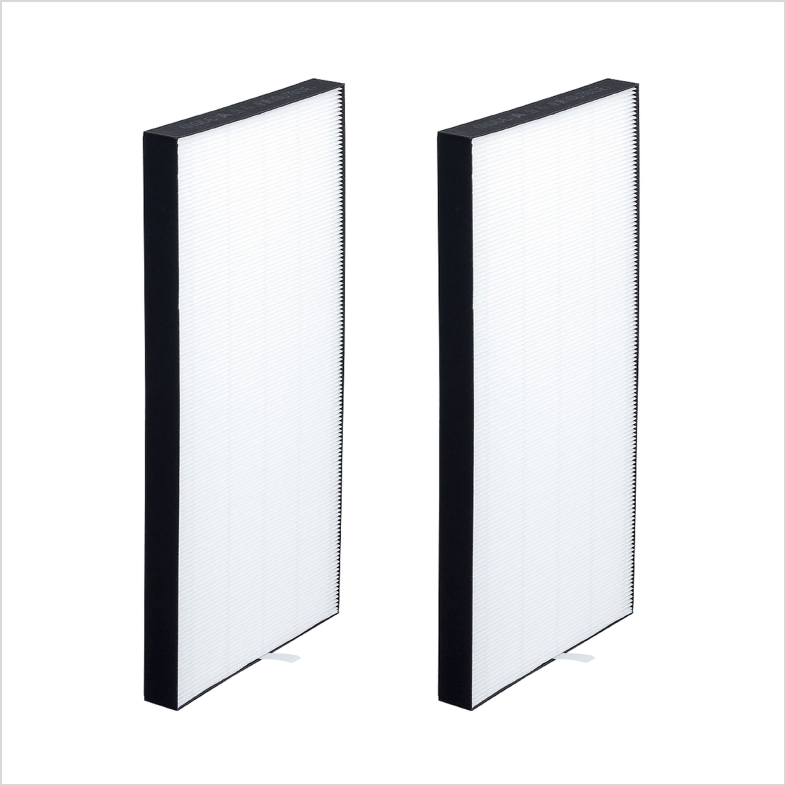 Micro HEPA Filter Pair FZ-S12H2E