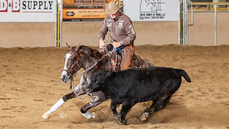 NRCHA reined cow horse