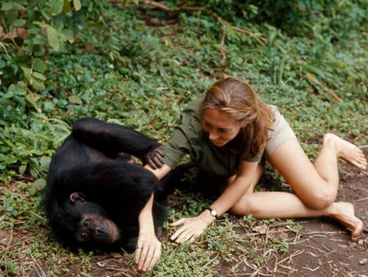 Spotlight: Jane Goodall