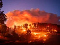 Southern California Wild Fires and Resources.