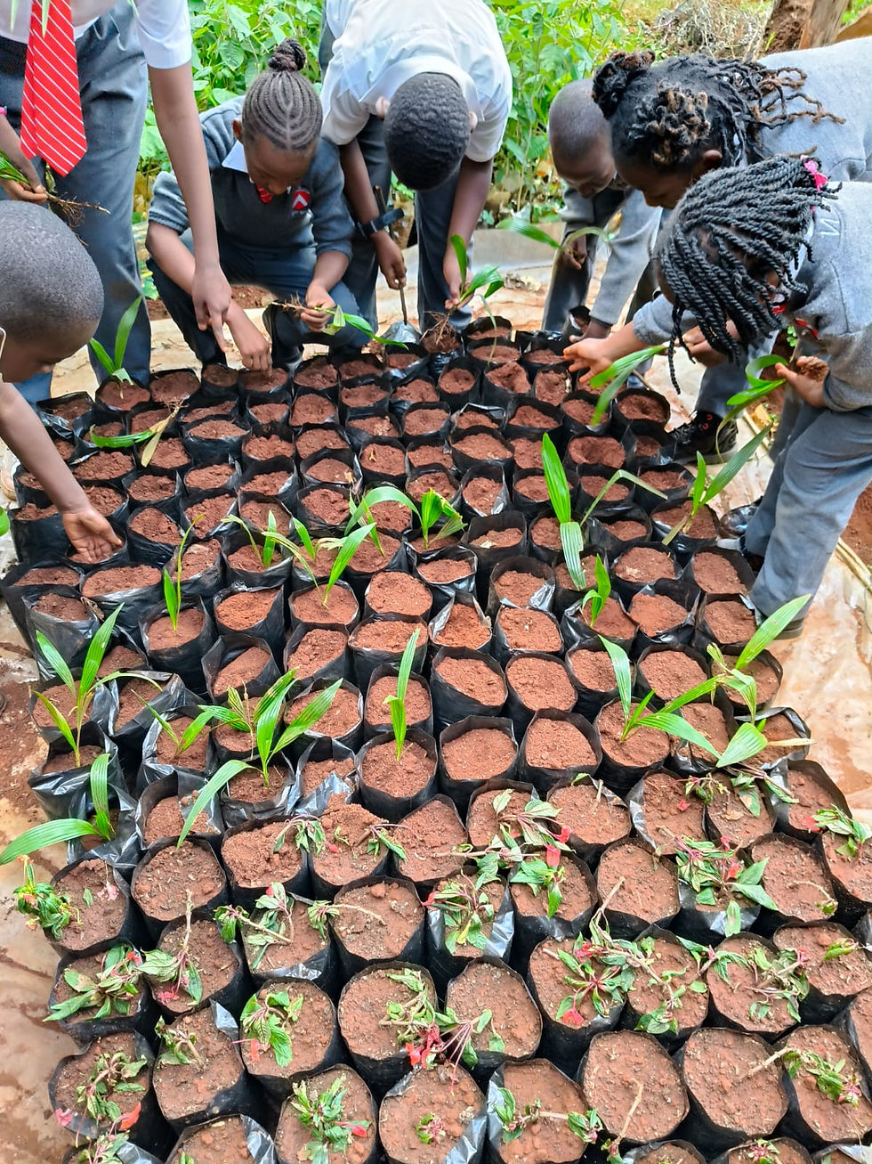 IMG-20241009-WA0040 (1).jpg