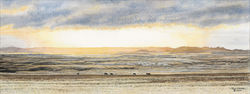 Magic Light ~ 20 x 7.75