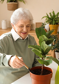 shutterstock_2447502925_edited.jpg