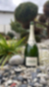 KRUG X 2.JPG