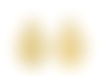 La Médaille de l’Immaculée Conception