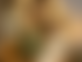 Saint Joseph, un homme de foi et de confiance