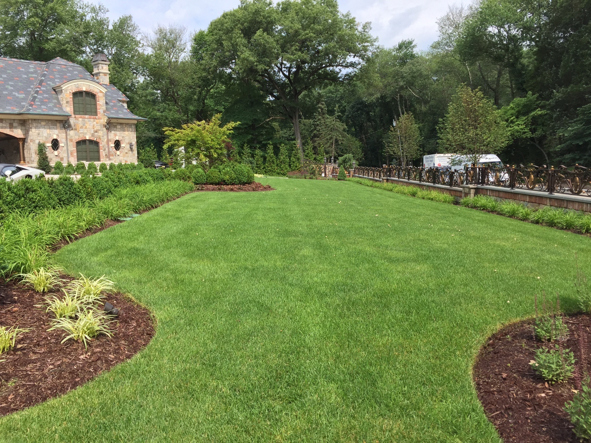 Lawn, Ornamental Tree & Shrub Care