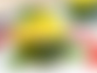 Zapallitos rellenos: un plato sano y muy fácil