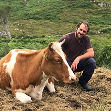 Adam with Erica one of our Shetland Cows