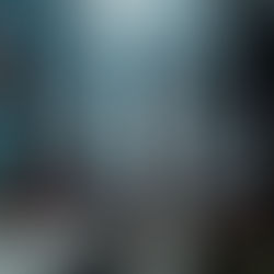 "The Evolution of Marketing: From Traditional to Digital"