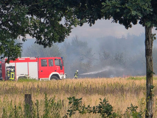 Flächenbrand in Altencelle: Kinder zündeln mit Feuerzeug – 120.000 m² brennen