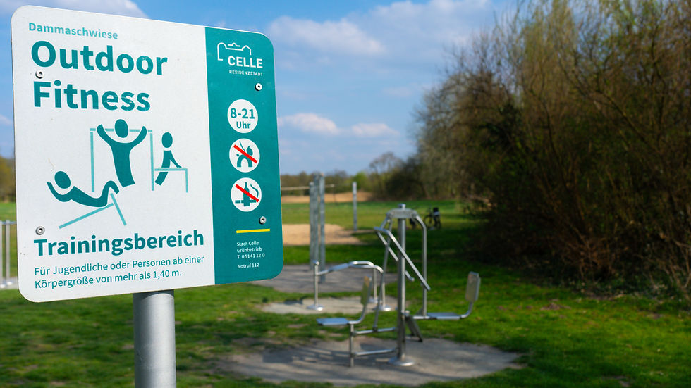 Die Anlage auf den Dammaschwiesen
