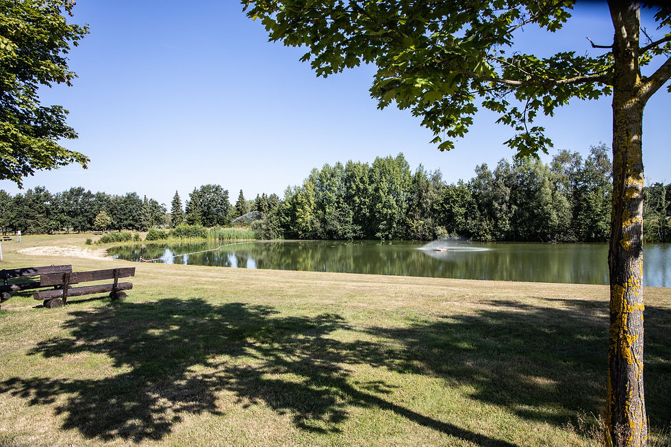 Endlos viel Liegewiese im Strandbad Flotwedel. Foto: David Borghoff