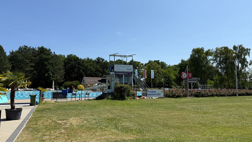 Palmen und Bademeister im Freibad Westercelle