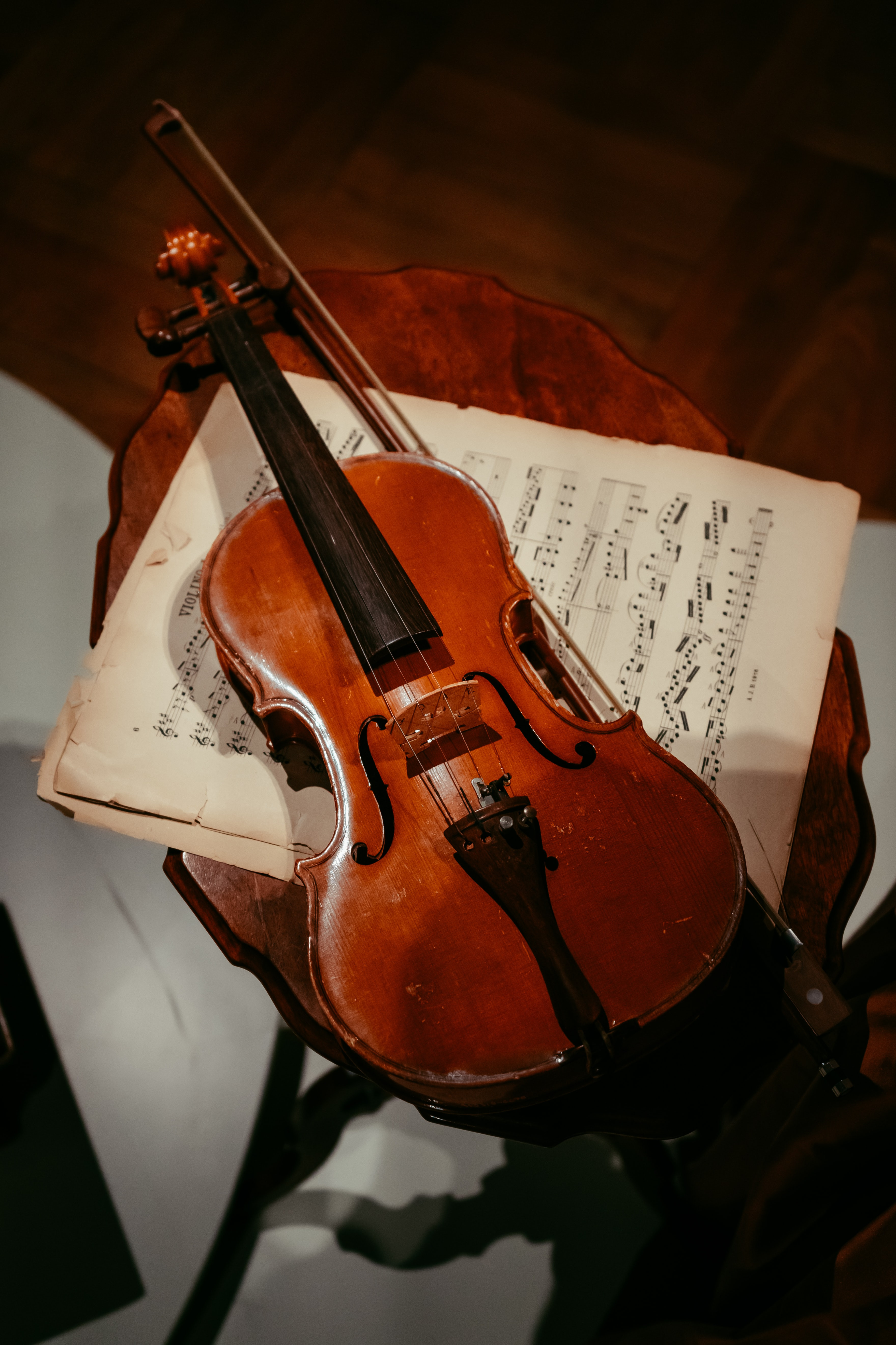 Stentor Violin