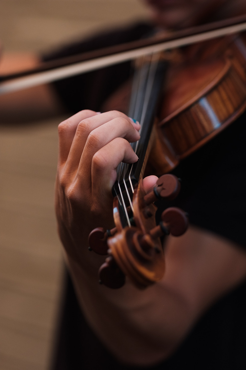Thumbnail: Stentor Violin