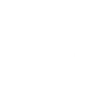 The Northeast Sentinel PNG 1 (1).png