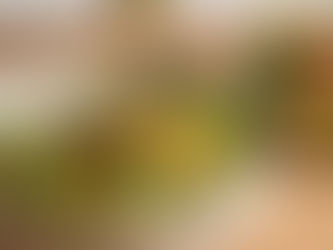 İpek Garnitür Konservesi ile hazırlanan pratik garnitür salatası