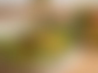 İpek Garnitür Konservesi ile hazırlanan pratik garnitür salatası