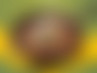 İpek Domates ve Biber Karışık Salça ile hazırlanmış salça soslu alabalık, fırında karamelize olmuş sosu ve sebzeleriyle servis edilen kış yemeği görseli