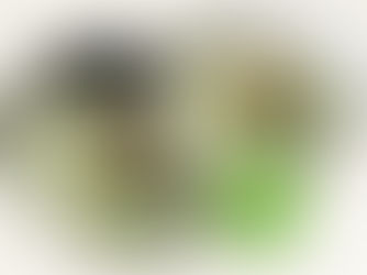 İpek Yeşil Fasulye Konservesi ile Hafif ve Pratik Bir Aperatif