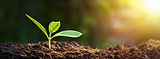sustainability hero image.jpg