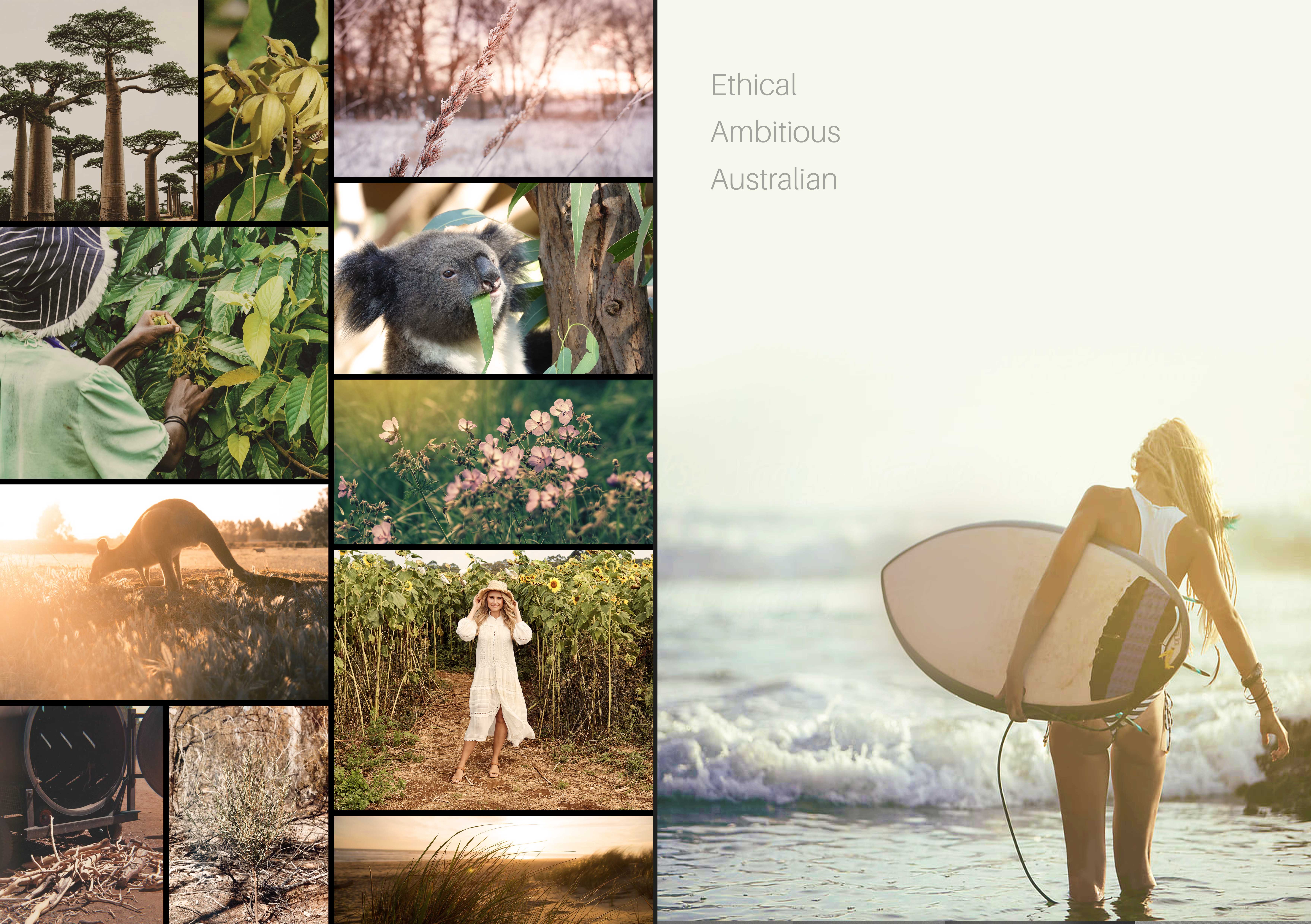 Heritage Brands digital template design system
