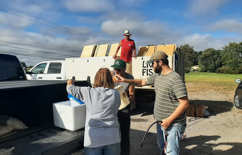 Fall fish sale.jpg