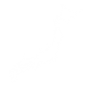 Japan.png