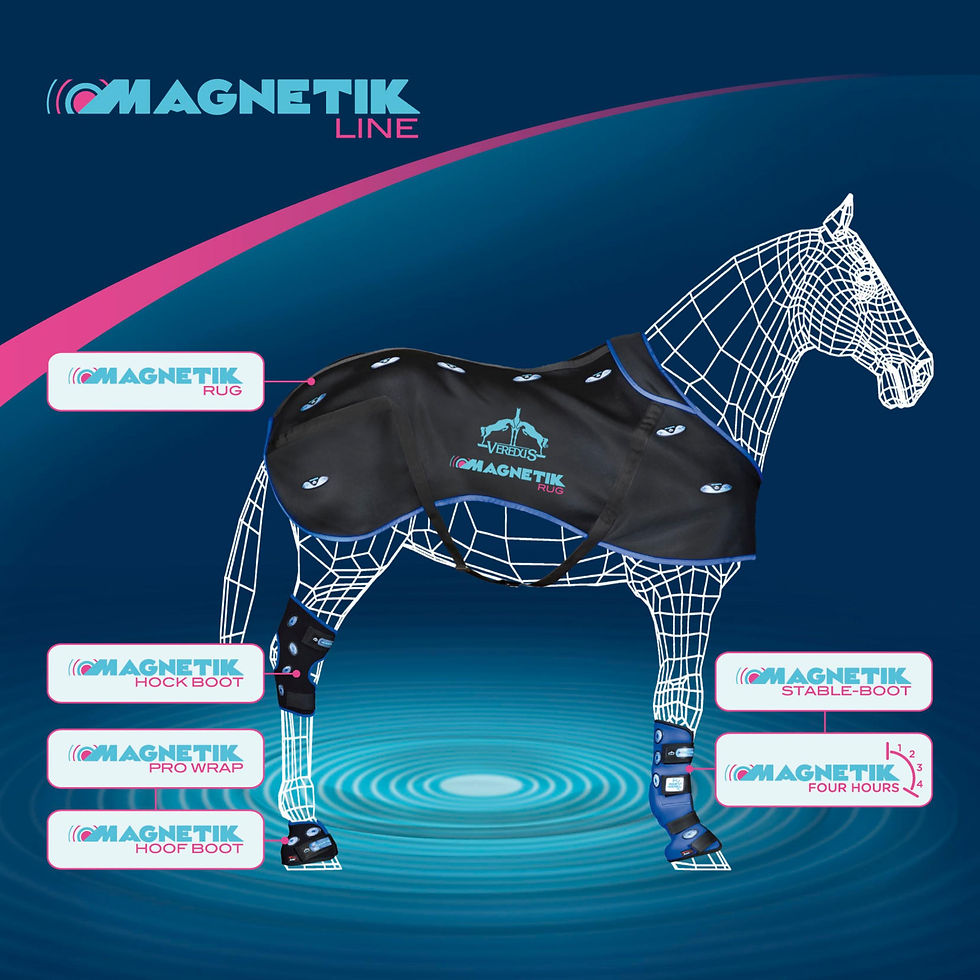 Thumbnail: Veredus® Magnetik™ Rug
