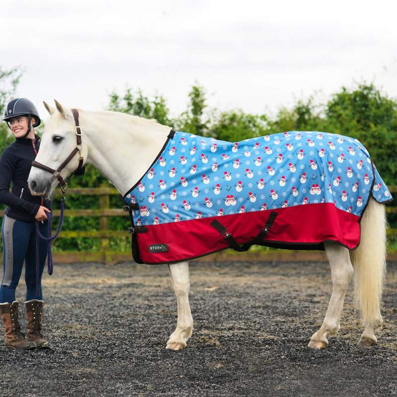 Thumbnail: StormX Original Snowy the Snowman 200 Turnout Rug

