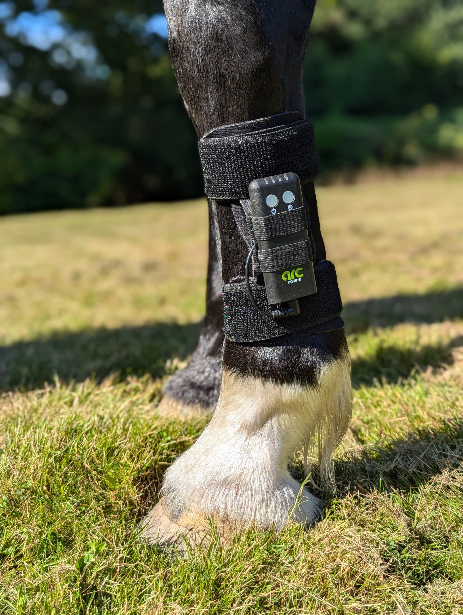 ArcEquine (Complete Kit) Updated Version