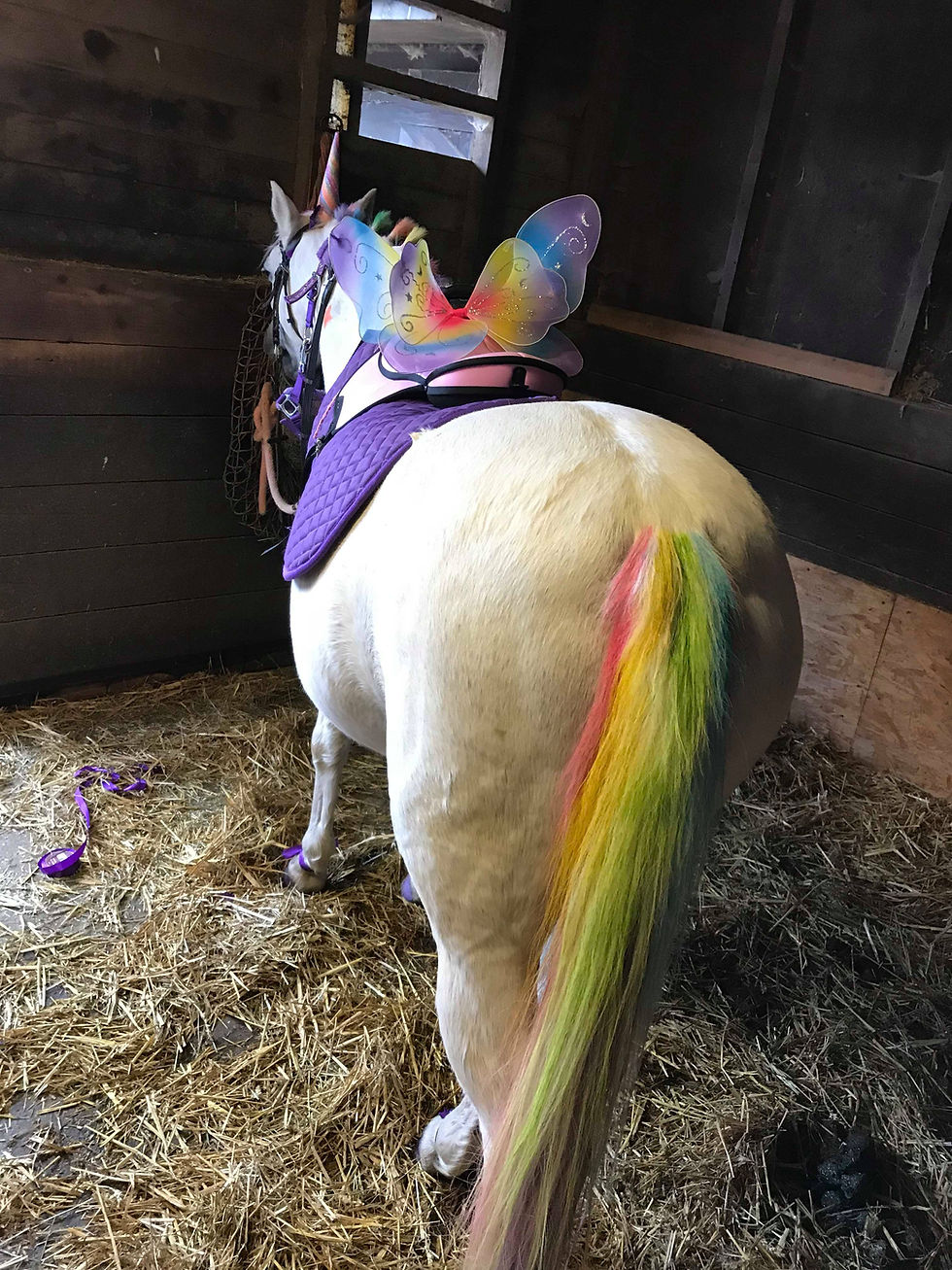 Thumbnail: Unicorn Sparkles Mane & Tail Chalks 