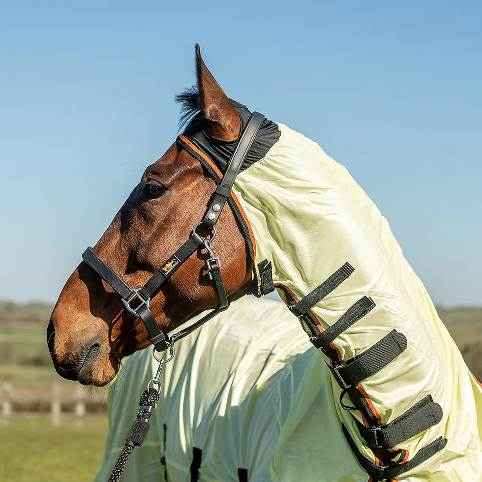 Thumbnail: Equilibrium Field Relief Fly Rug

