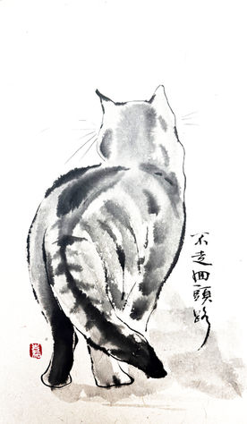 Back of Cat by Kelvin Kwan