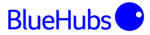 bluehubs-digital-marketing-agency.png