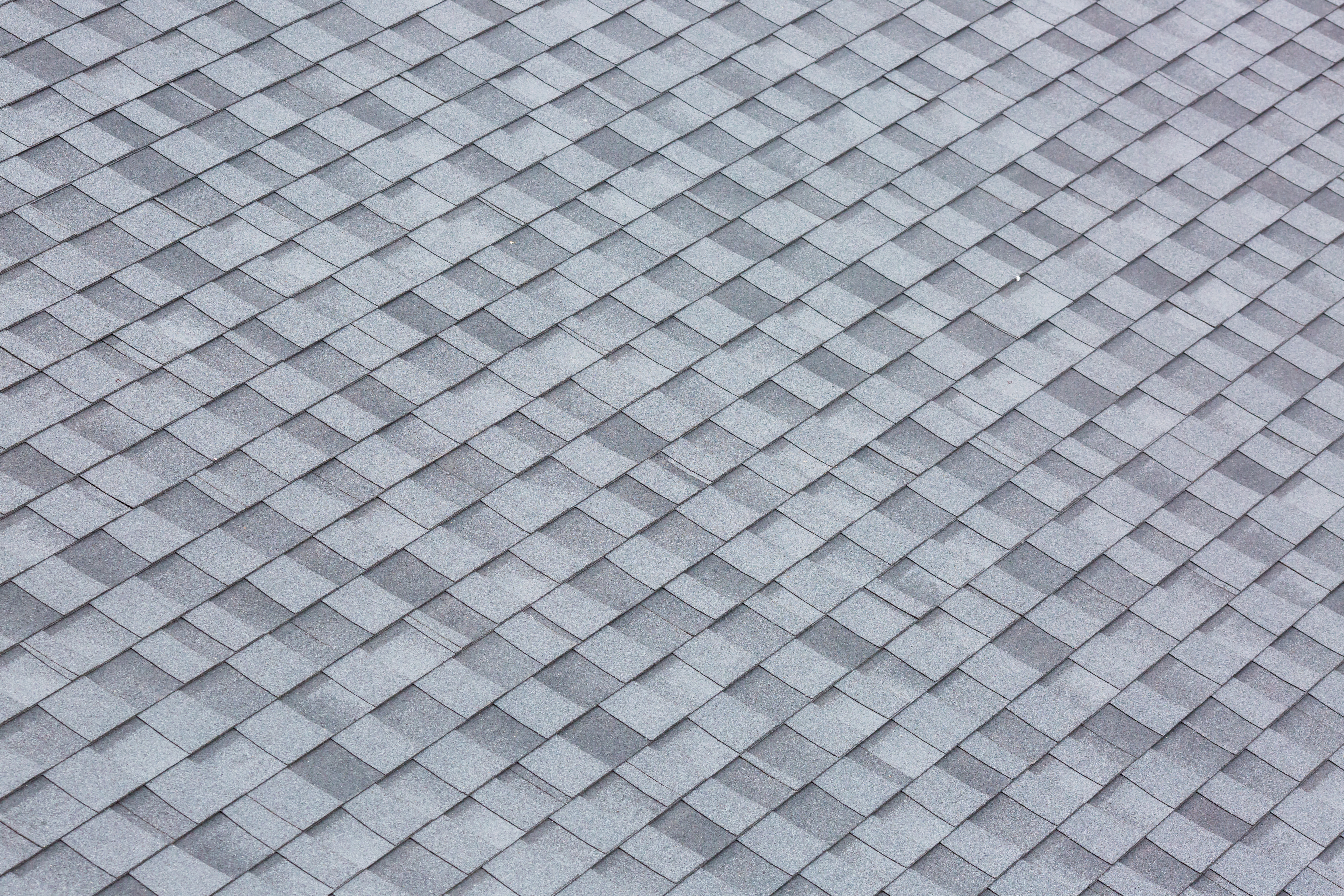 Standard Shingle.jpeg