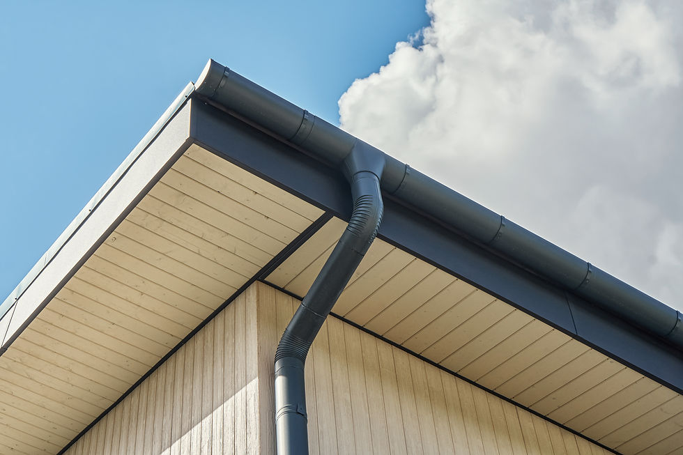 Downspouts and Sofit.jpeg