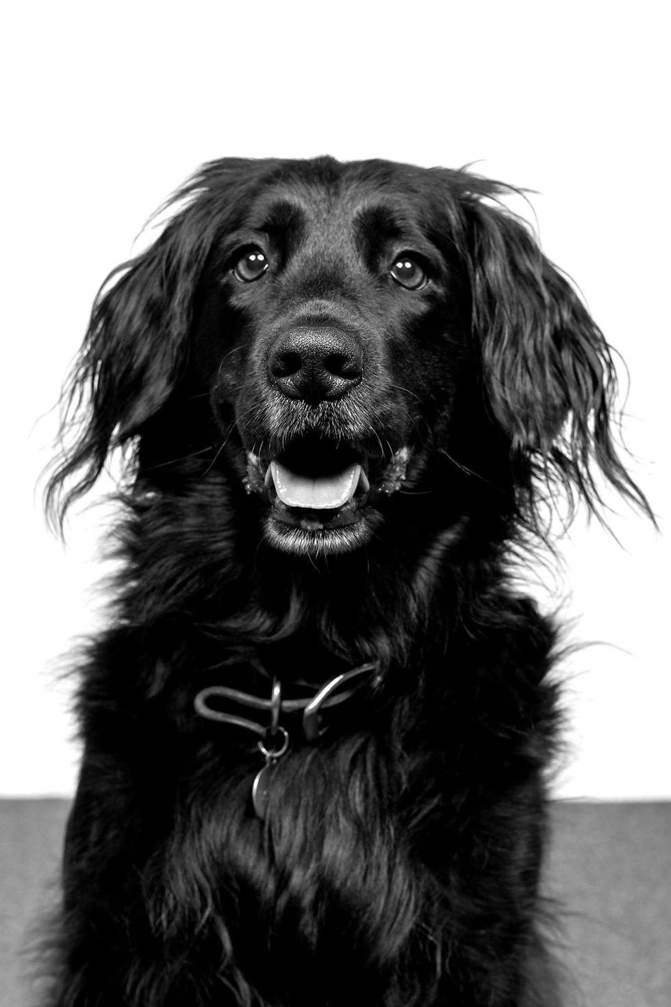 Sophie's headshot