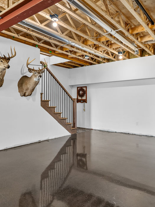 Modern basement with polished floors and deer mounts