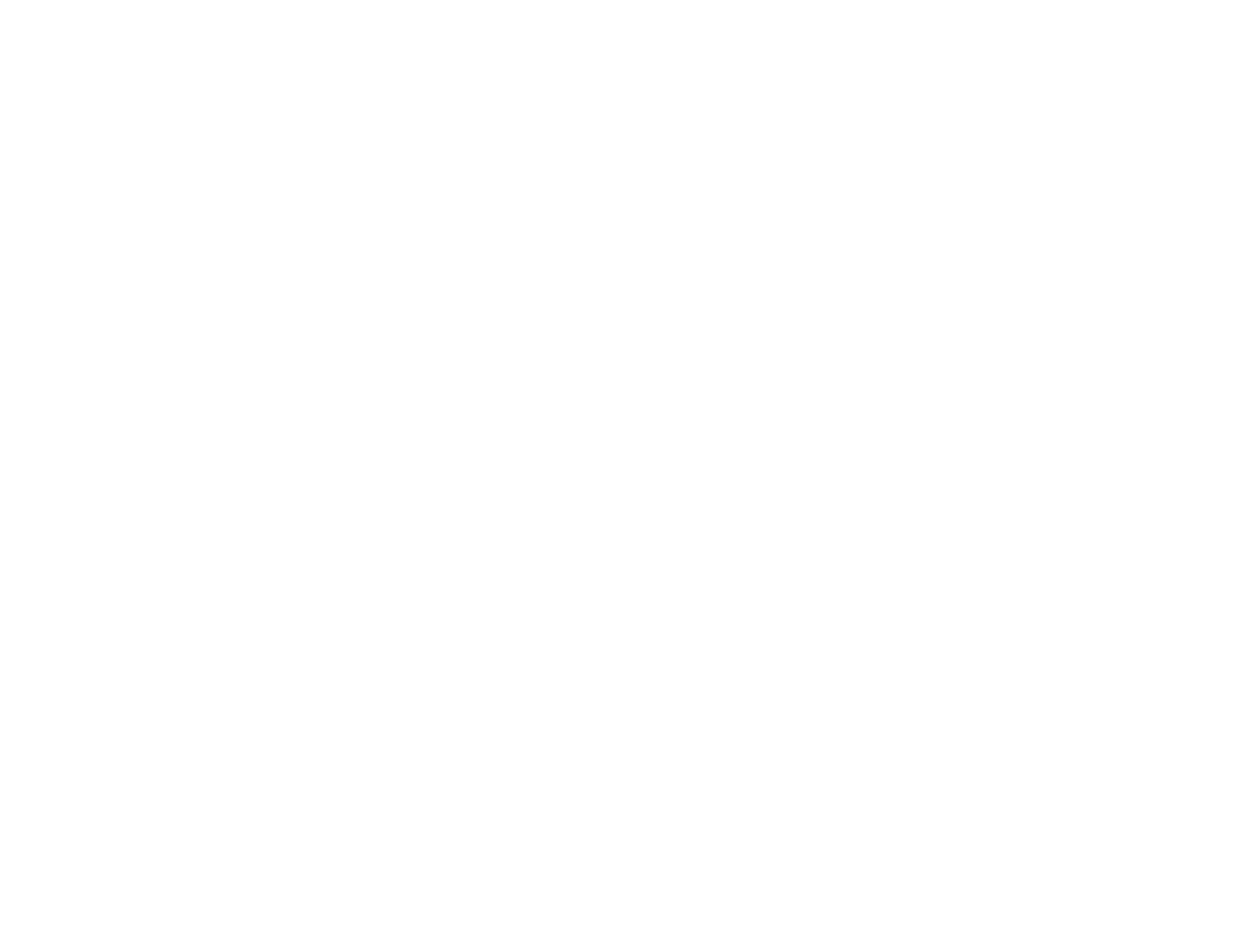 White Logo.png