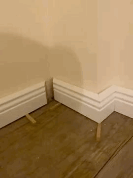 Holzleiste perfekt angepasst