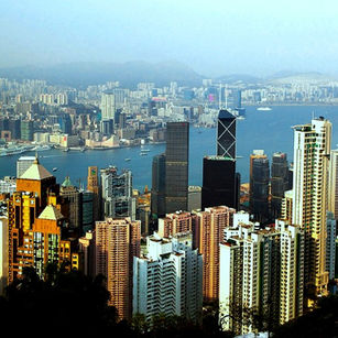 Over 80% of Hong Kong Firms Plan AI Adoption Within 12 Months