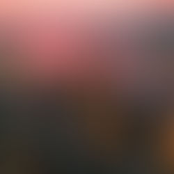 ‘King of Liquidation’ Warns of More Hong Kong Restructurings in 2026