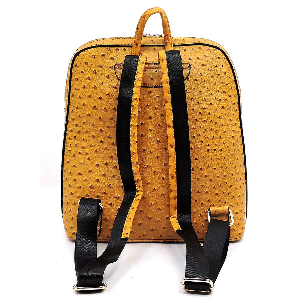 Thumbnail: Bone Diamond BackPack