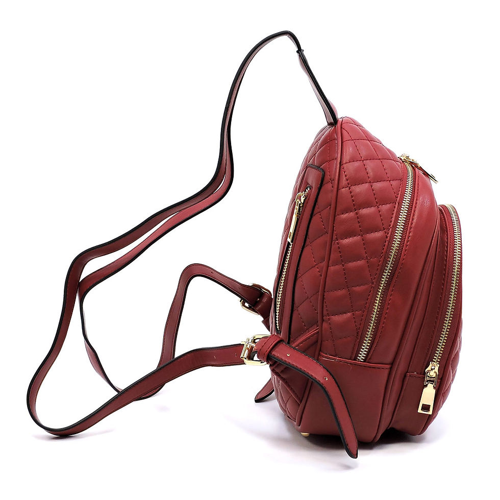 Thumbnail: Executive BackPack Nautical
