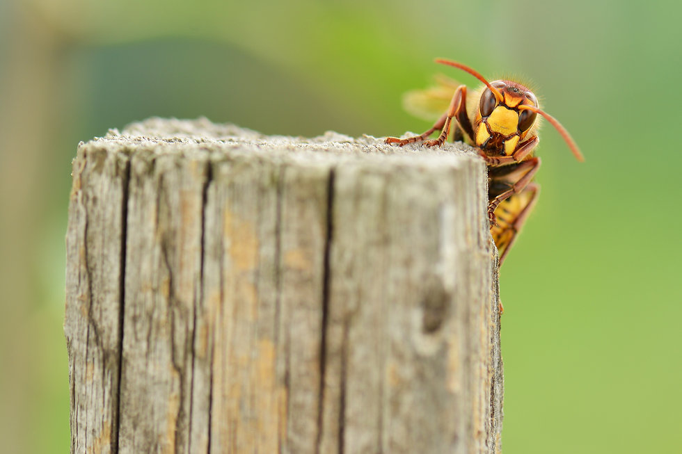 AdobeStock_90086623.jpeg