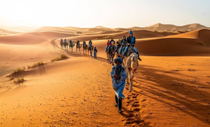 Nathalie Grigoletto : À la conquête du désert marocain, entre aventure et quête spirituelle