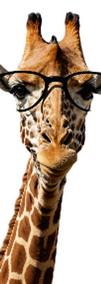 smart giraffelogo2025_edited_edited.jpg