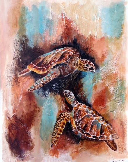 Schildpadden